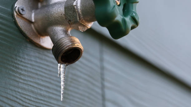 Best Local Plumber Services  in Rome, IL